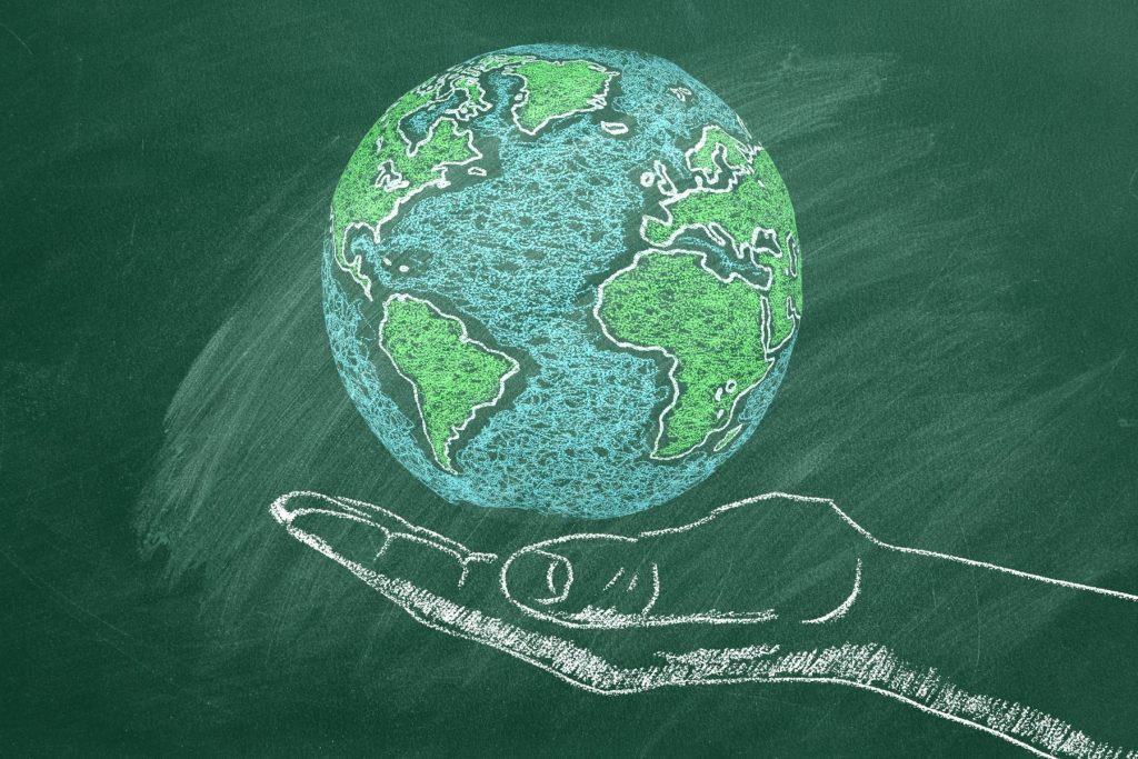 Dia Mundial Educació Ambiental
